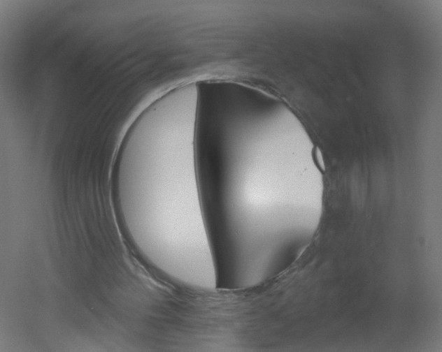 X0000051860100200506241013