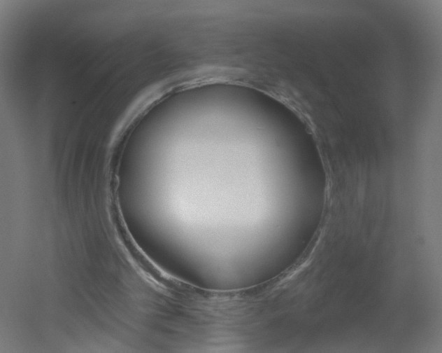 X0000051860101200506241013