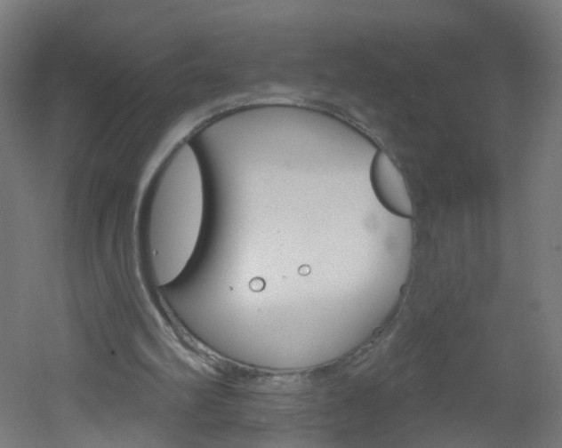 X0000051860102200506241013