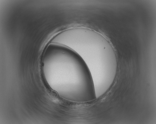 X0000051860103200506241012