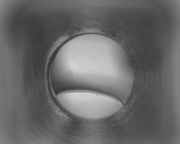 X0000051860104200506241012