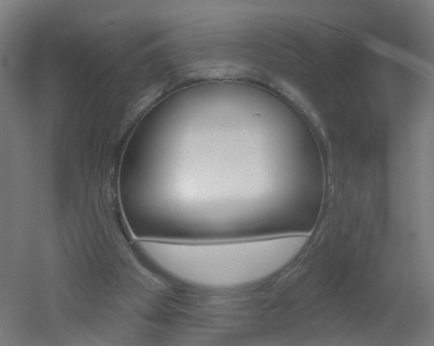 X0000051860105200506241012