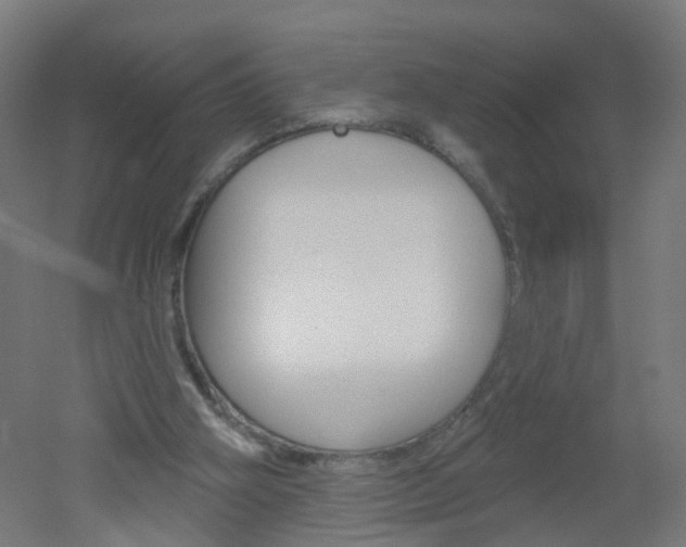 X0000051860106200506241012