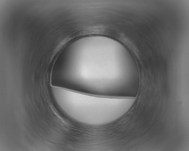 X0000051860107200506241012