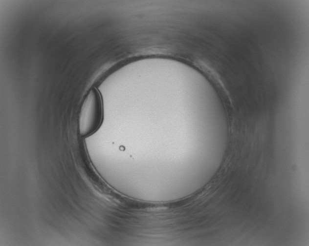 X0000051860108200506241012