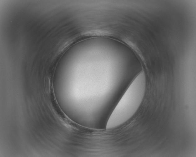 X0000051860109200506241012