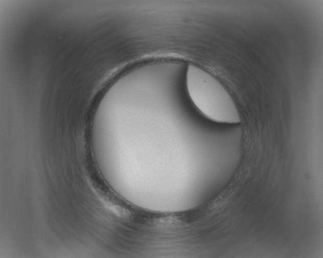 X0000051860112200506241012