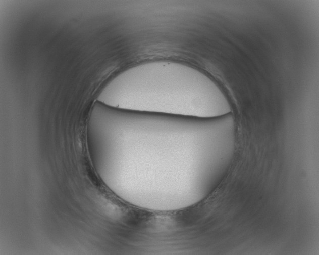 X0000051860114200506241012