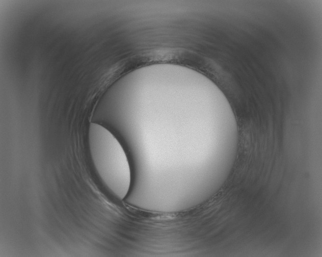 X0000051860118200506241012