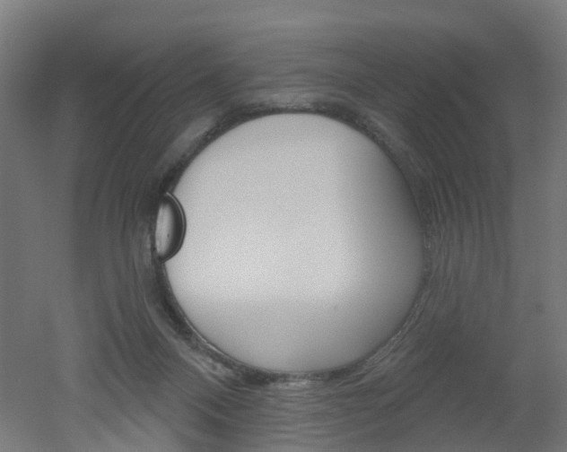 X0000051860120200506241012