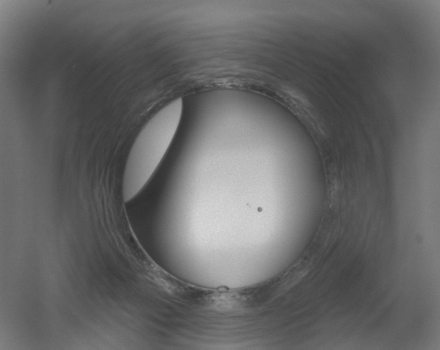 X0000051860121200506241012