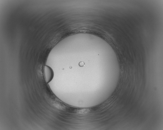 X0000051860122200506241012