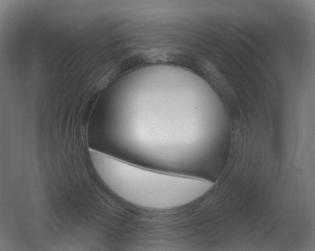 X0000051860125200506241012