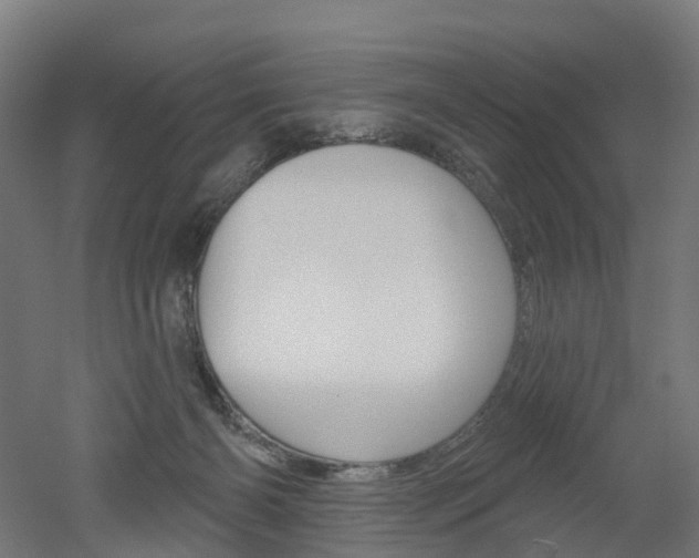 X0000051860126200506241012