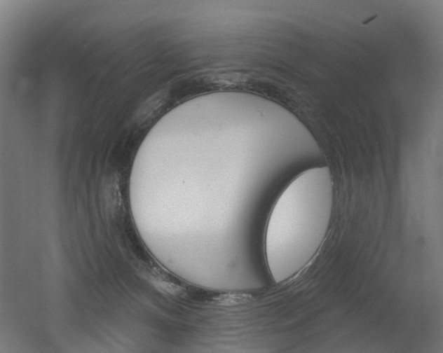 X0000051860128200506241012