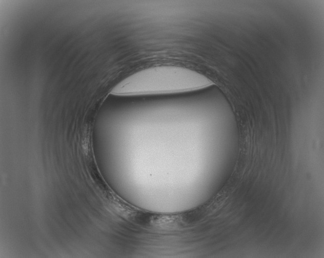 X0000051860129200506241012