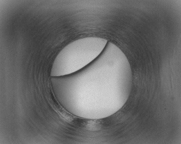 X0000051860130200506241012