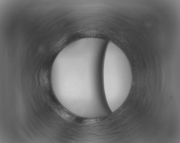 X0000051860131200506241012