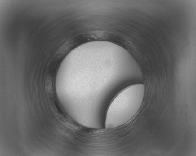 X0000051860132200506241012