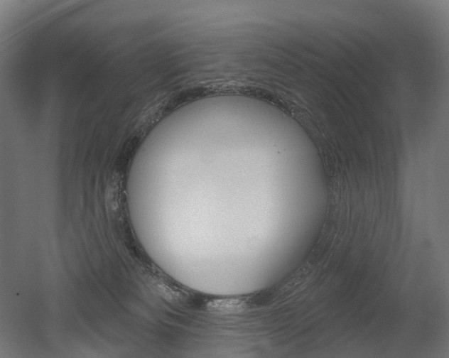 X0000051860133200506241012