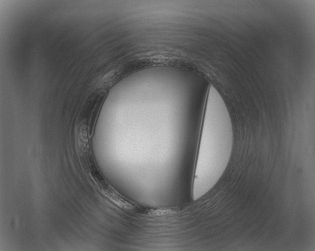 X0000051860137200506241012