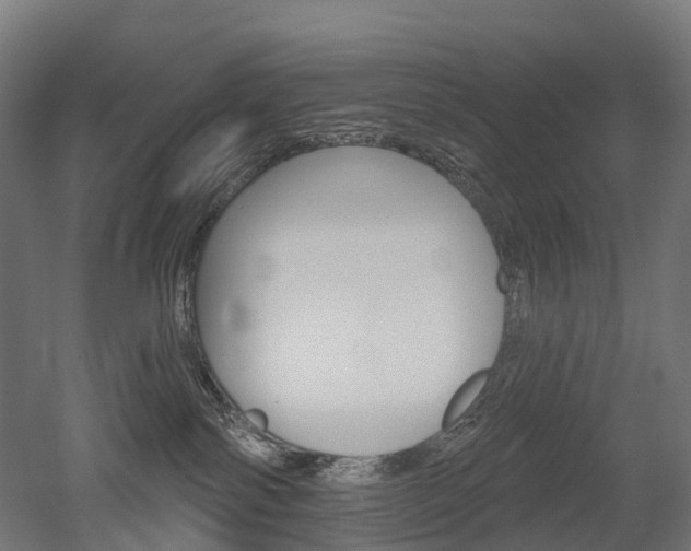 X0000051860138200506241012