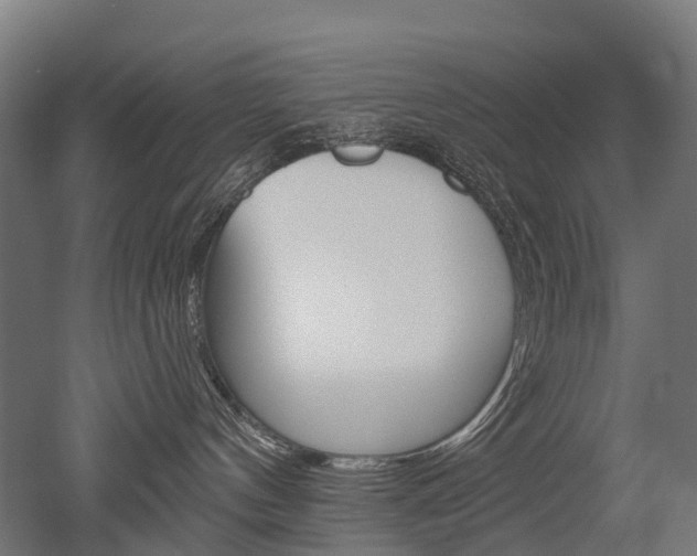 X0000051860144200506241012