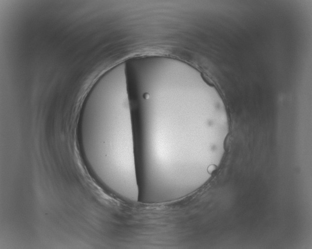 X0000051860145200506241011