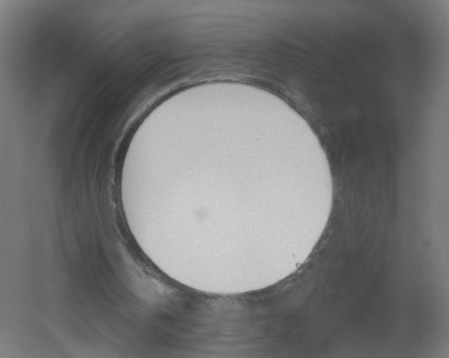 X0000051860146200506241011