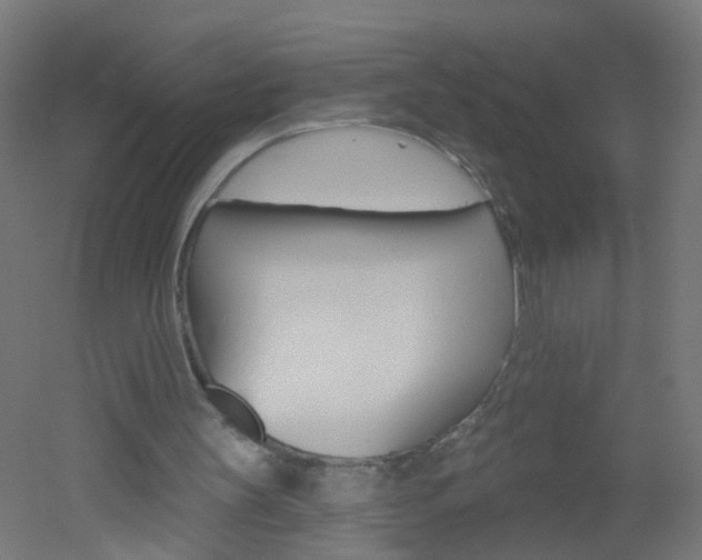 X0000051860147200506241011