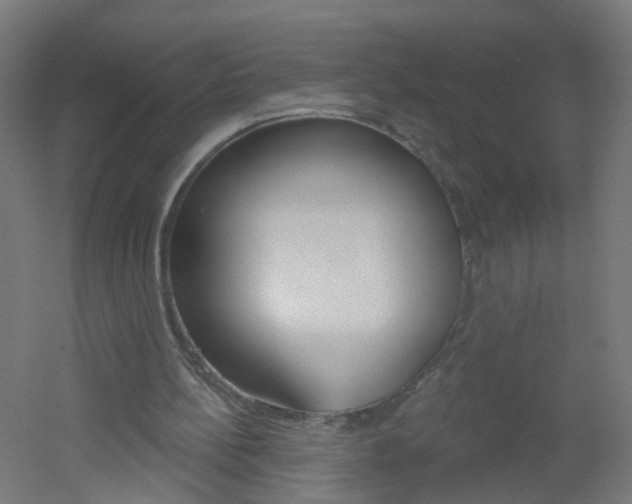 X0000051860148200506241011