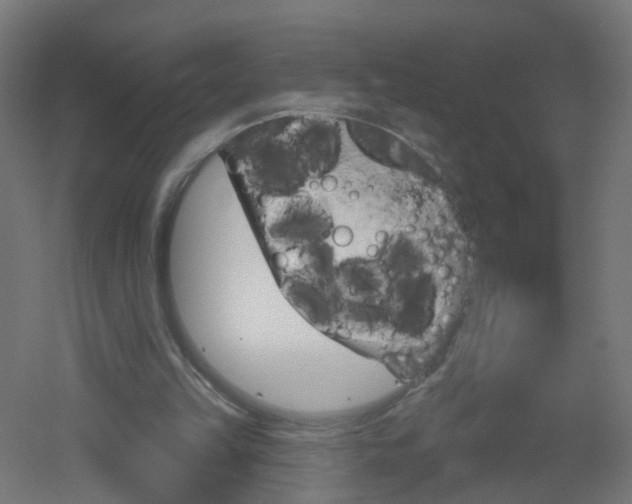 X0000051860149200506241011