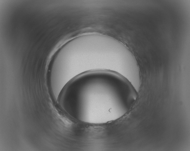 X0000051860150200506241011