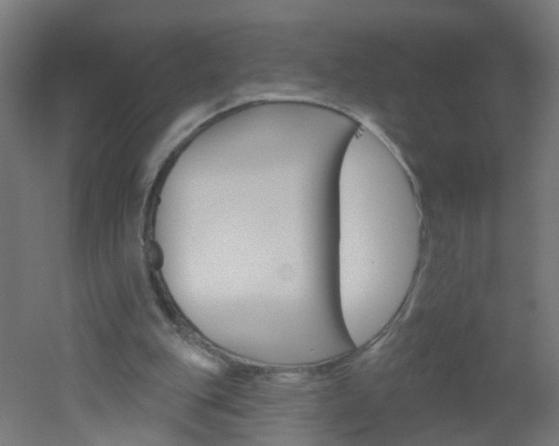 X0000051860151200506241011