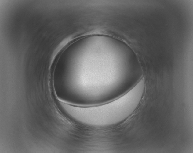 X0000051860152200506241011