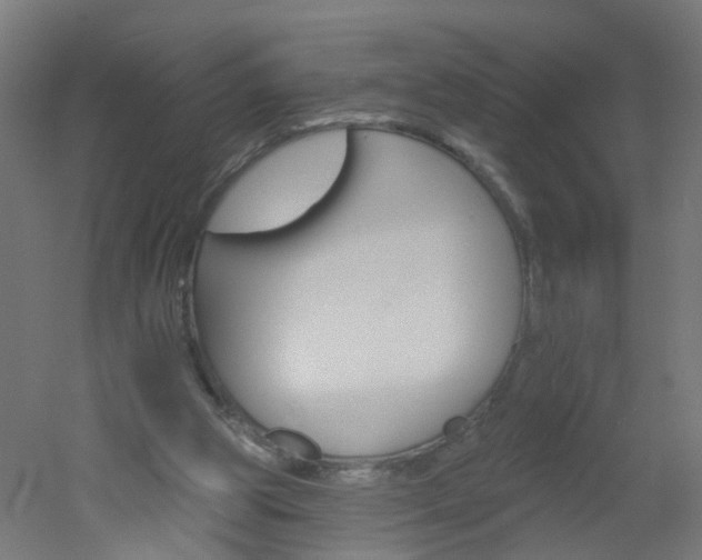 X0000051860153200506241011