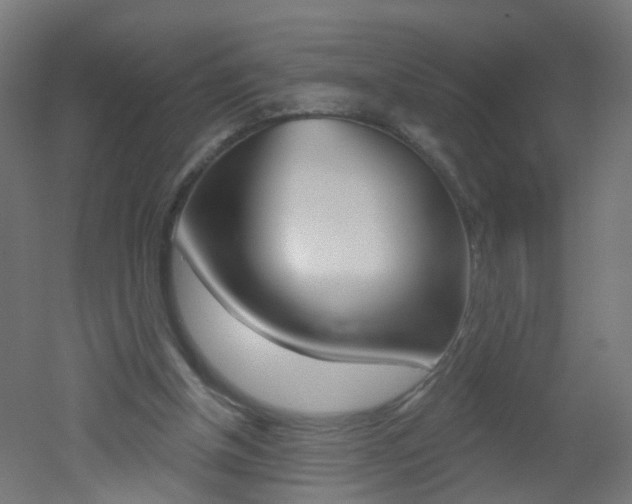 X0000051860154200506241011