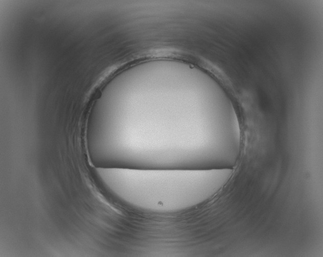 X0000051860155200506241011