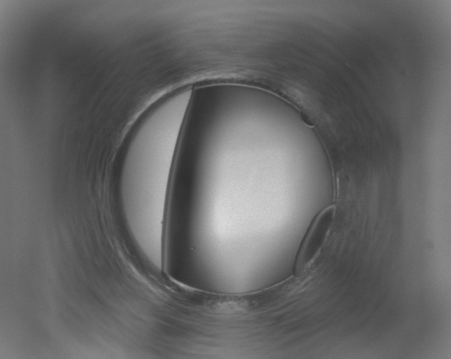 X0000051860156200506241011