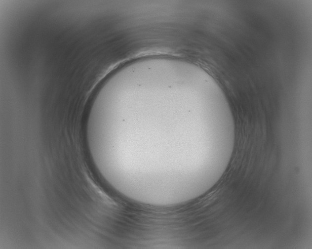 X0000051860160200506241011