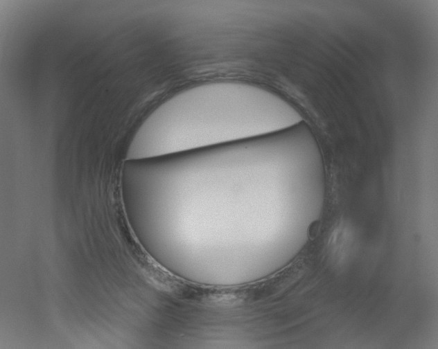 X0000051860161200506241011