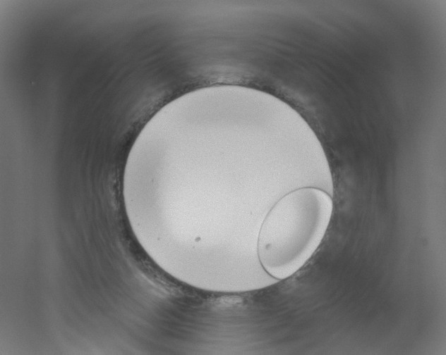 X0000051860162200506241011