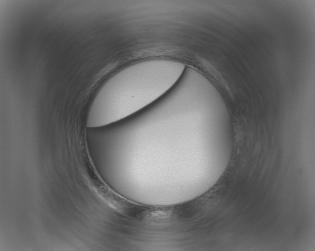 X0000051860163200506241011