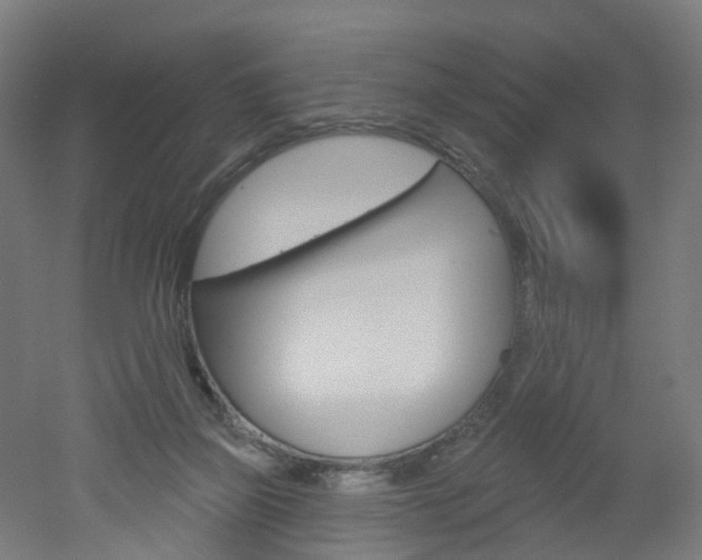 X0000051860165200506241011