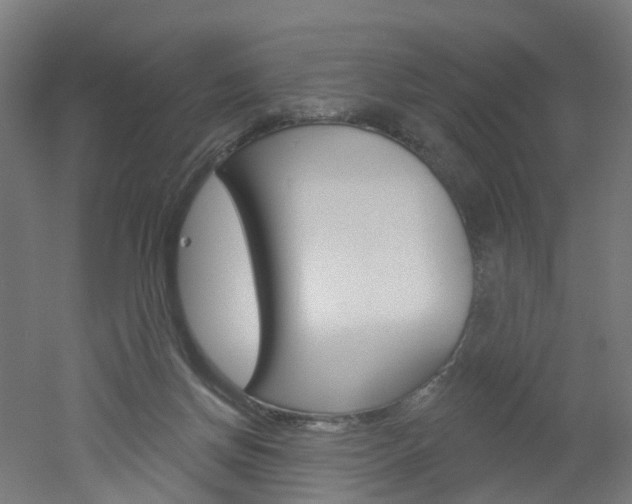 X0000051860166200506241011