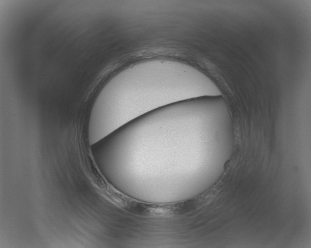 X0000051860167200506241011