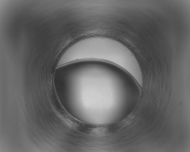 X0000051860168200506241011