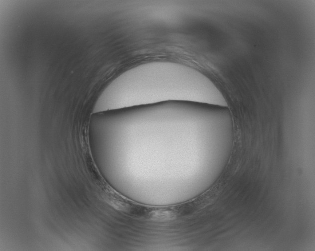 X0000051860169200506241011