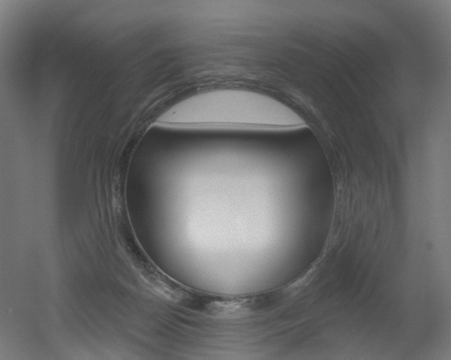 X0000051860170200506241011