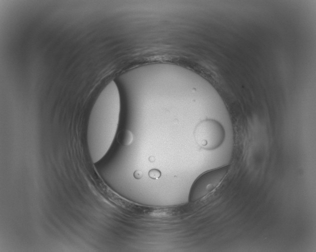 X0000051860171200506241011